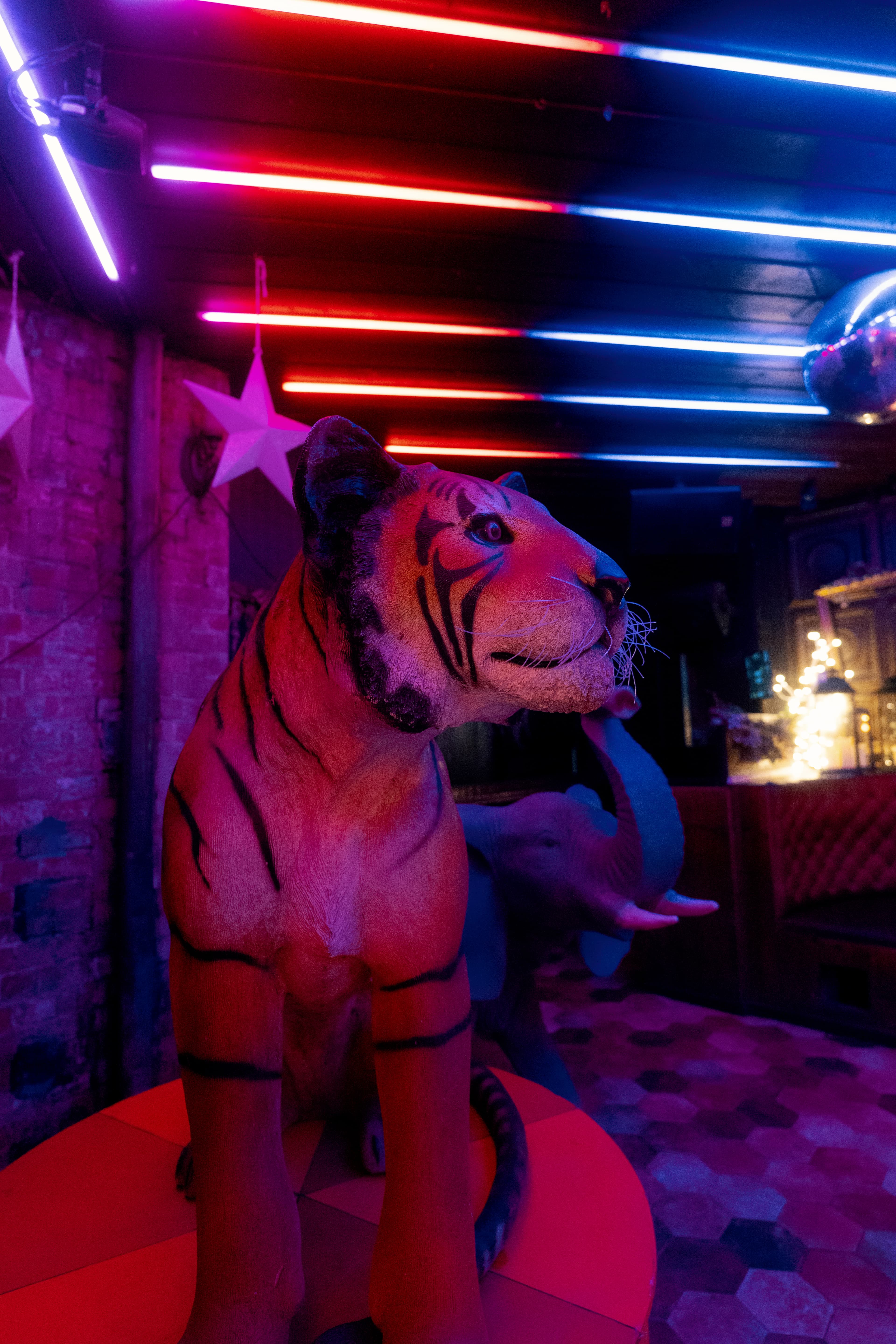 Exclusive Hire, The Backroom, Leeds photo #96