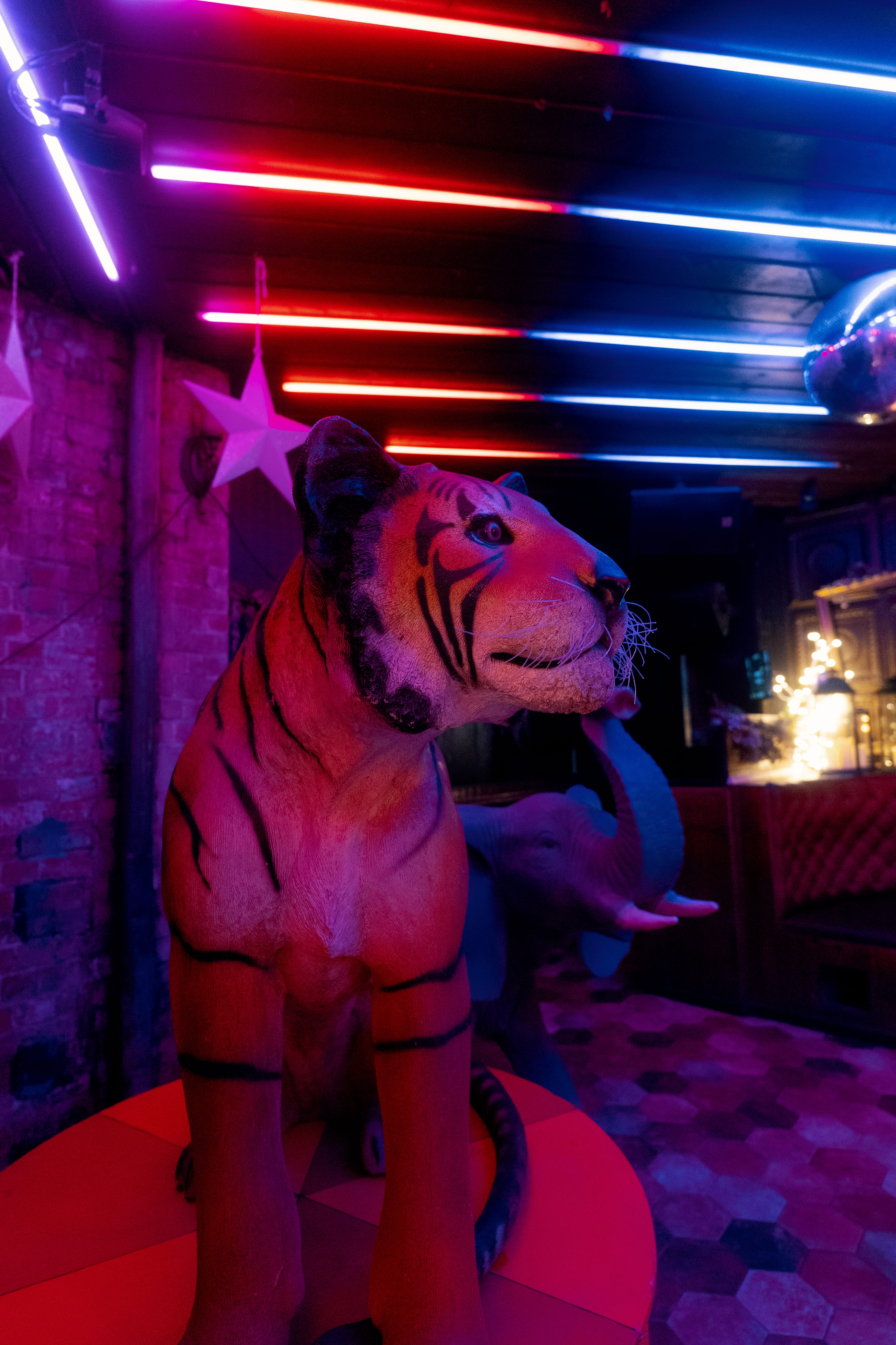 Photo of The Backroom, Leeds, Exclusive Hire