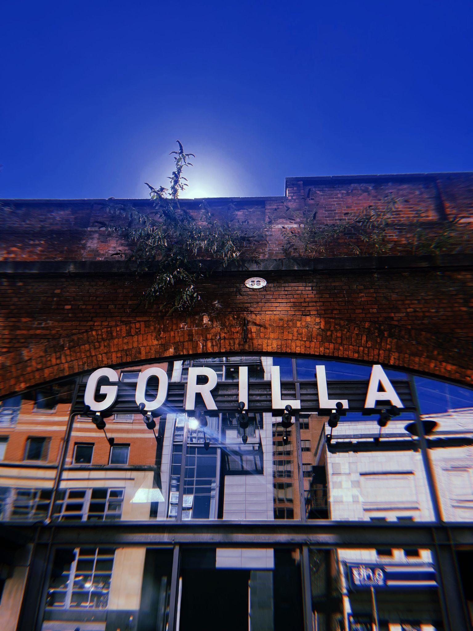 Gorilla, The Music Hall photo #1