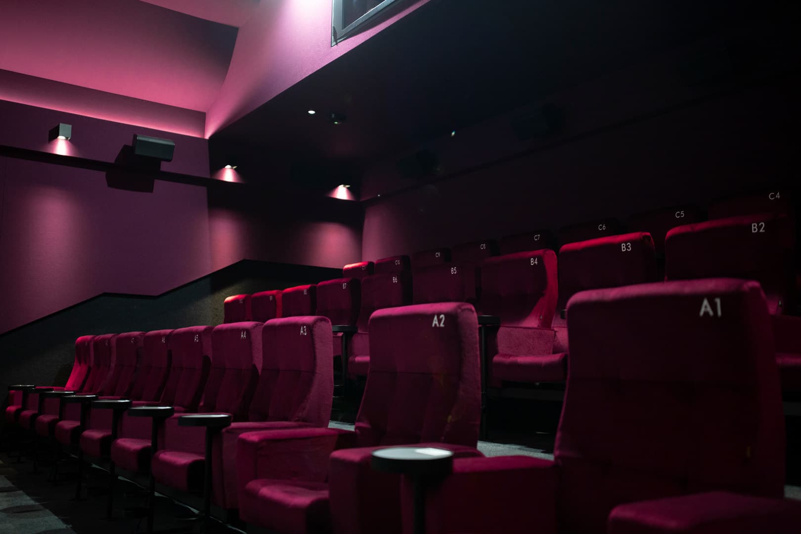 Cinema Screens N10-N14, Curzon Camden photo #2