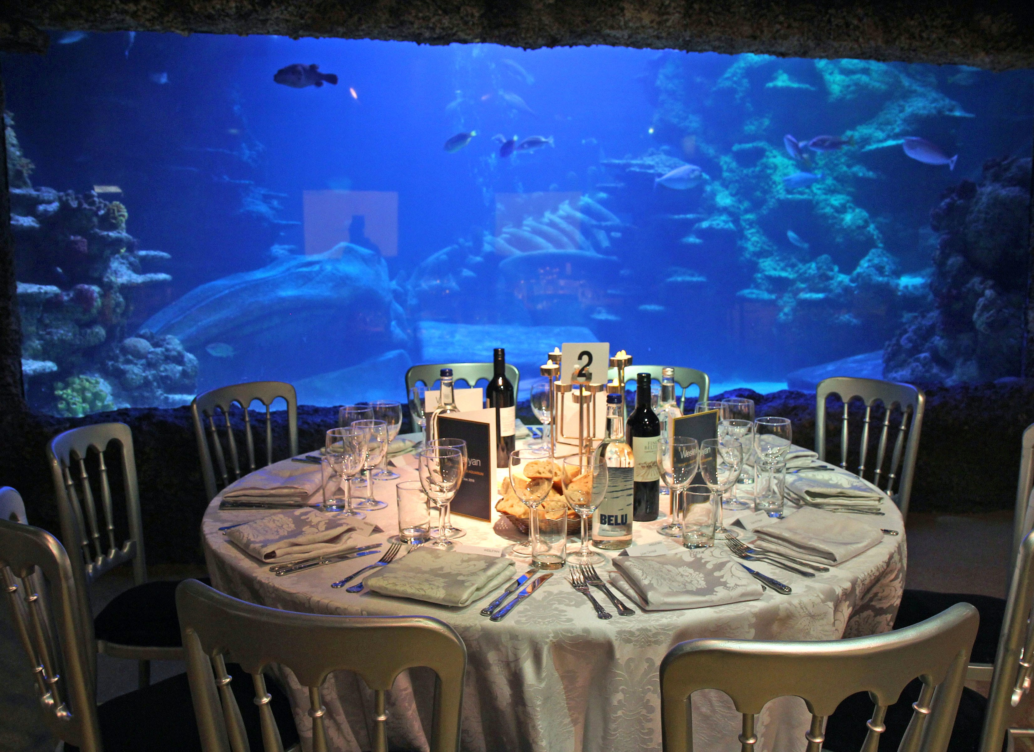 Photo of Sea Life London Aquarium, Whole Venue