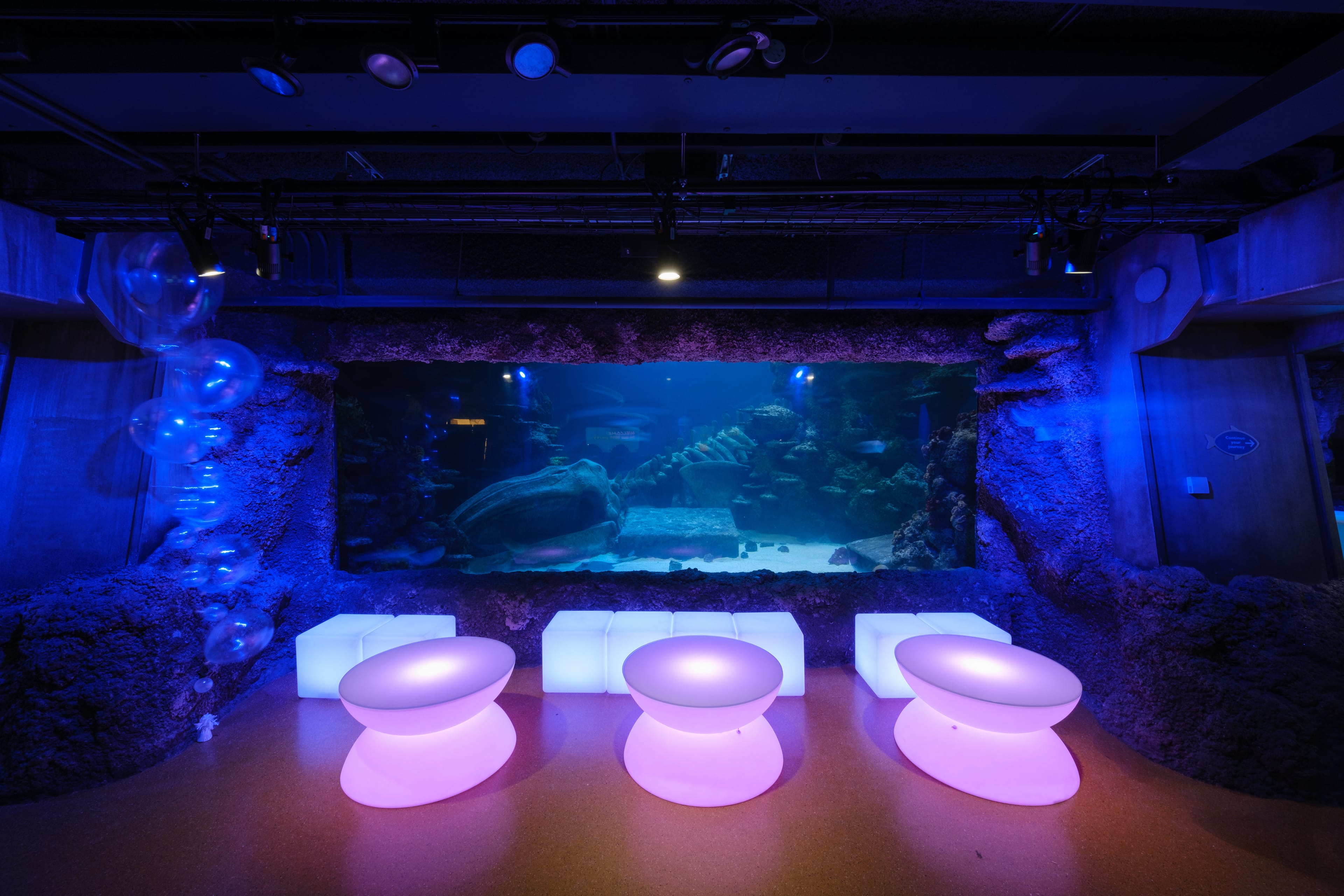 Photo of Sea Life London Aquarium, Whole Venue