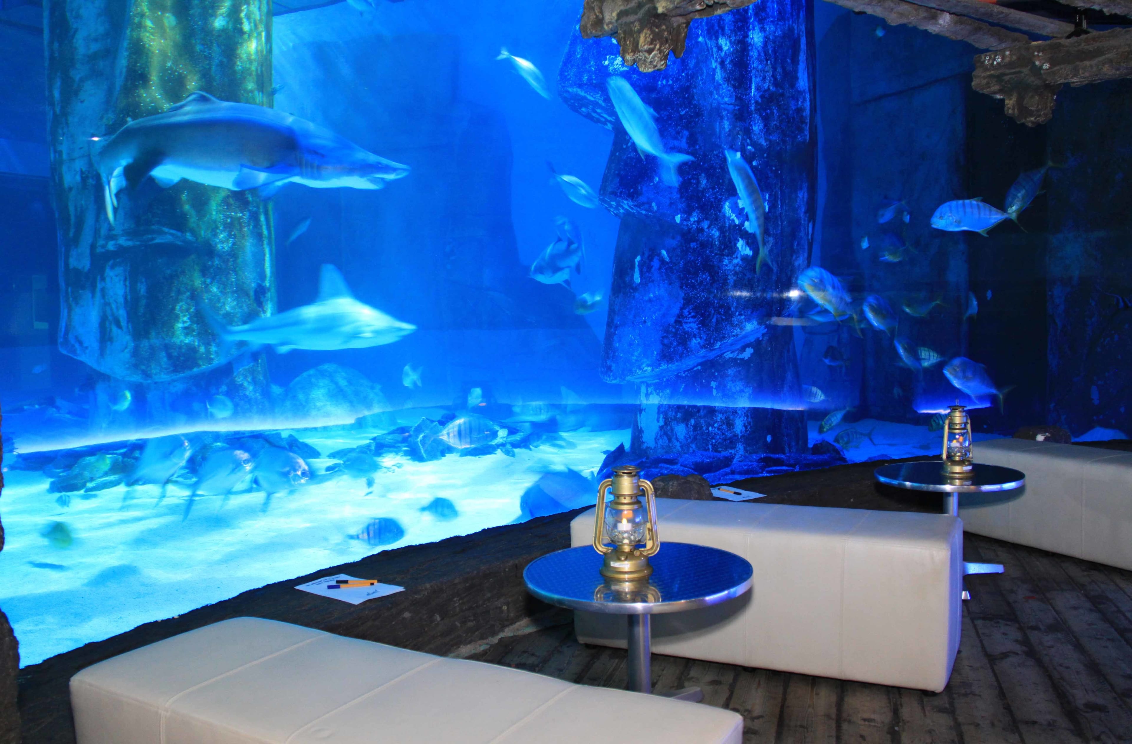 Photo of Sea Life London Aquarium, Whole Venue