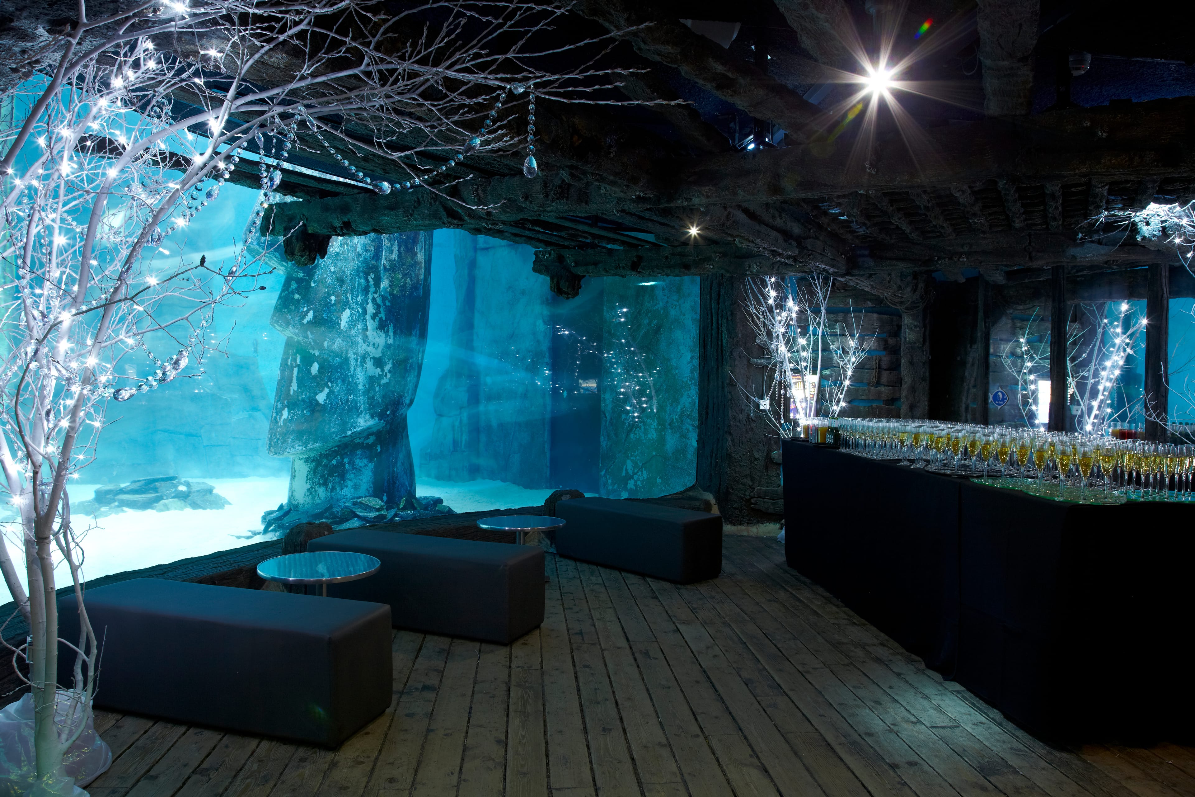 Photo of Sea Life London Aquarium, Whole Venue