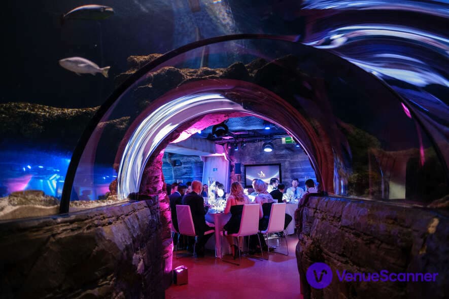 Whole Venue, Sea Life London Aquarium photo #1