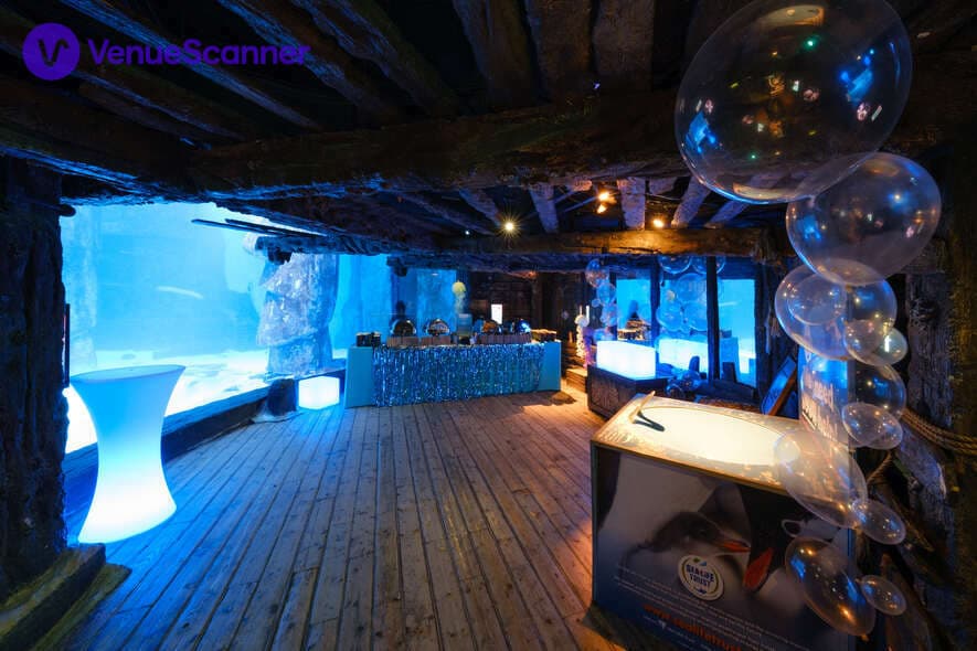 Sea Life London Aquarium photo #3