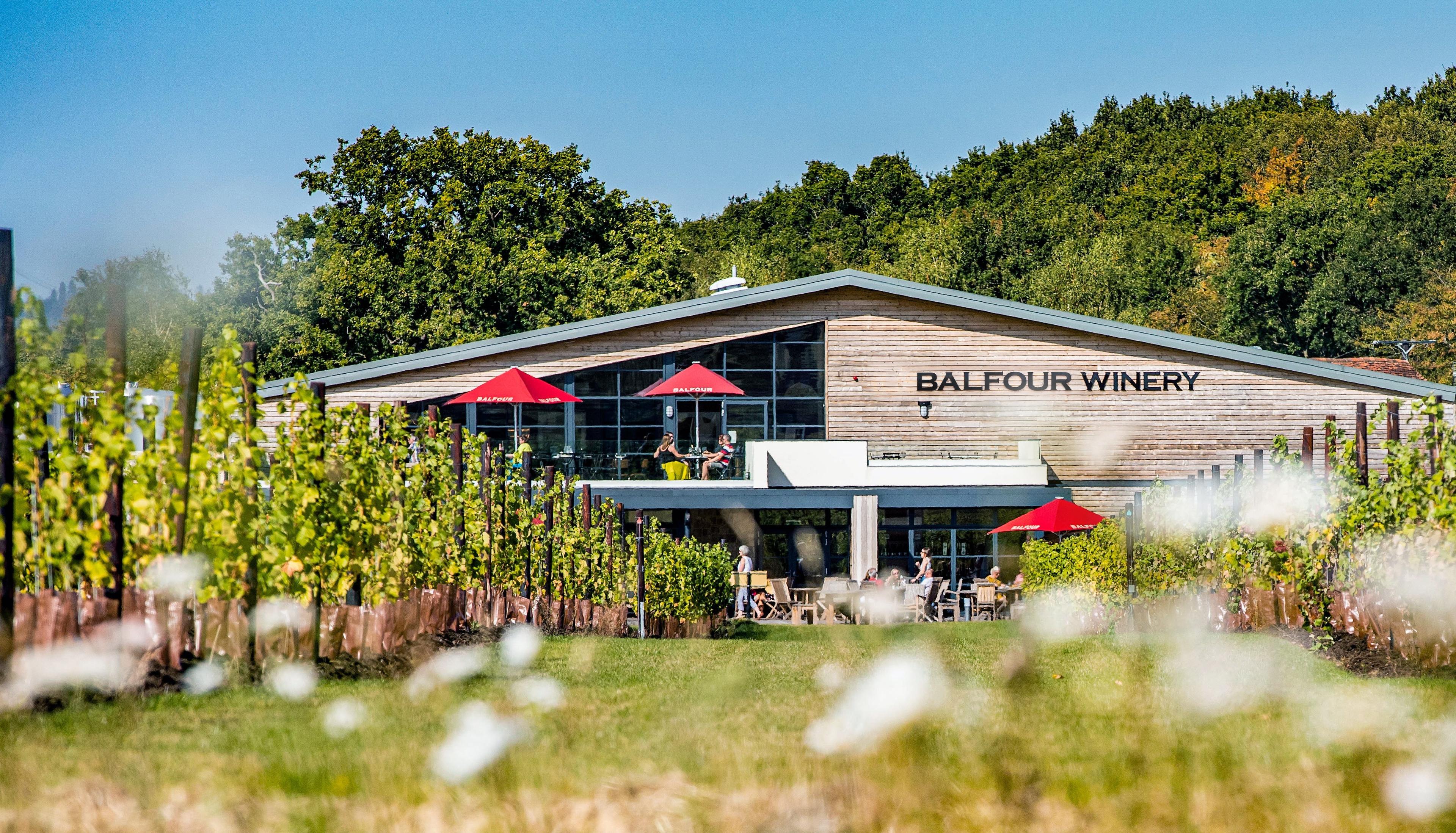 Balfour Winery, The View photo #3