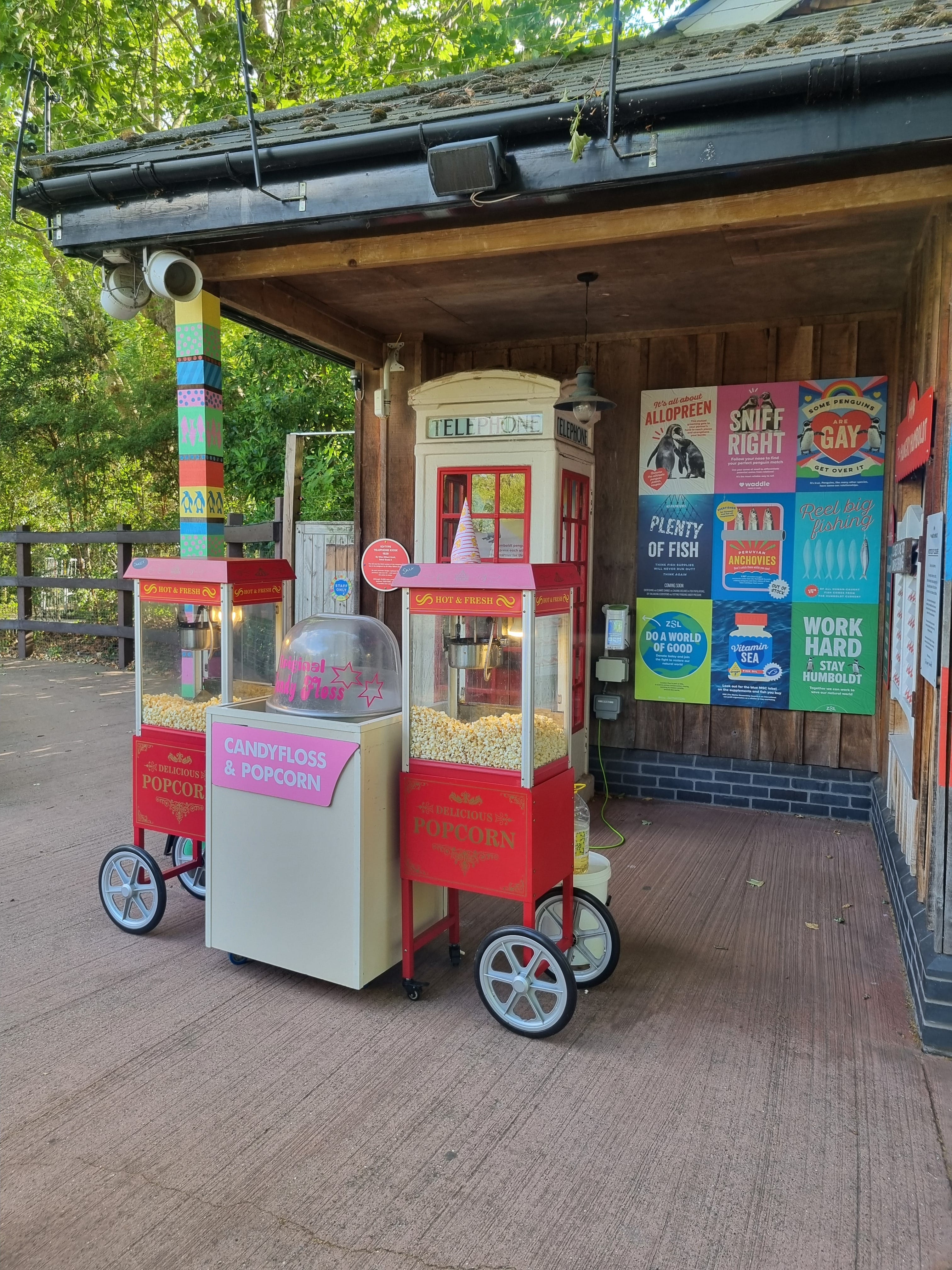 Photo of Zsl London Zoo, Summer Package 2026