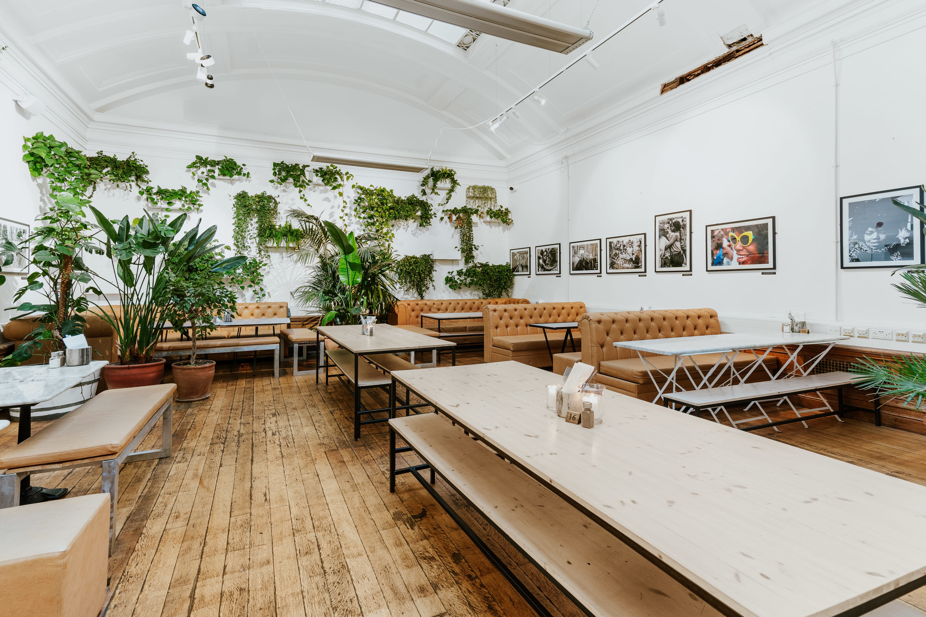 Photo of Medicine Restaurant & Gallery, Exclusive Hire