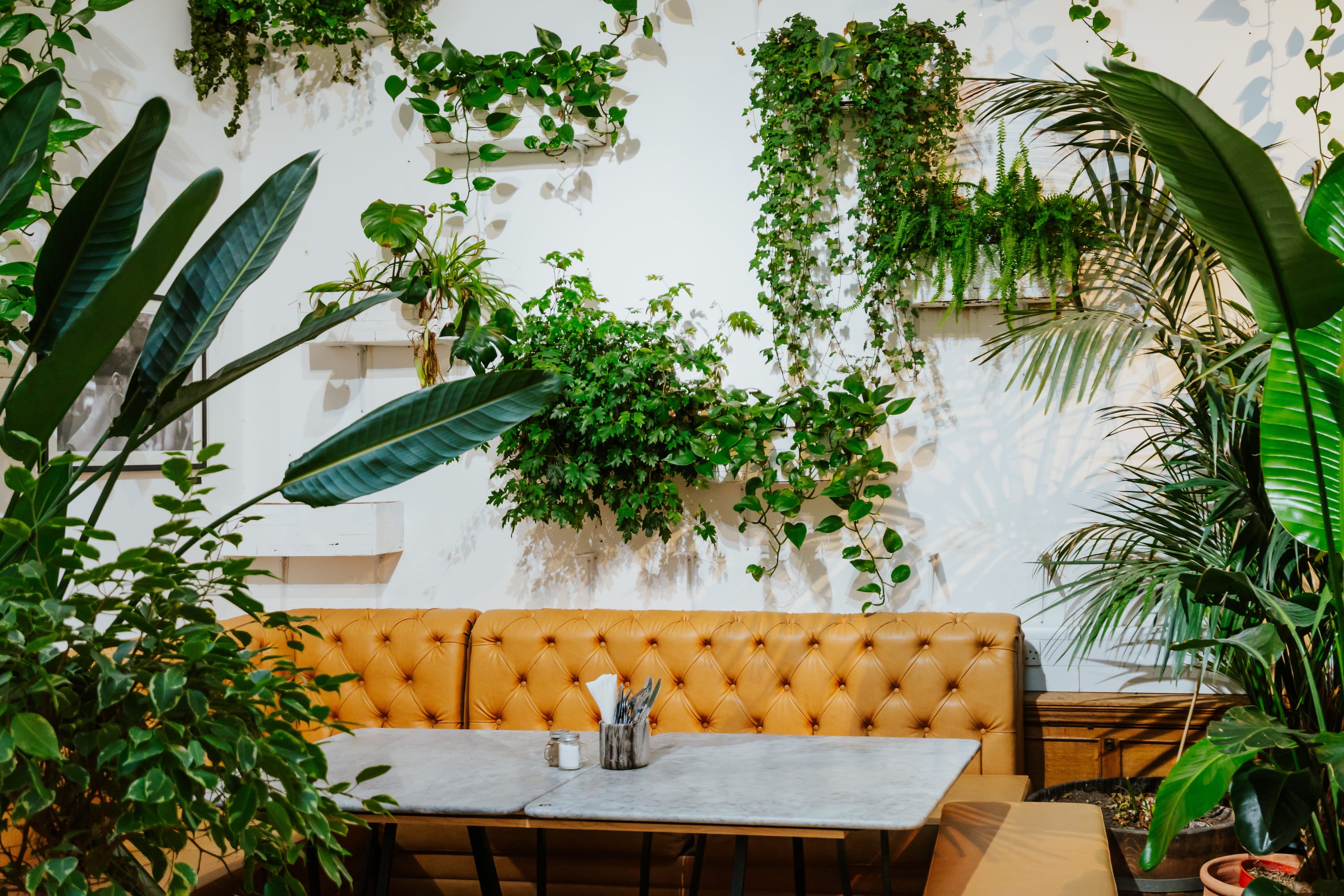 Photo of Medicine Restaurant & Gallery, Exclusive Hire