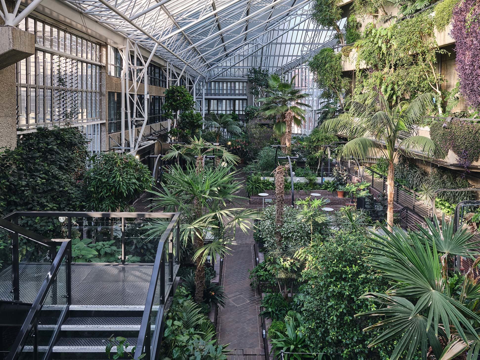 Conservatory, Barbican photo #11