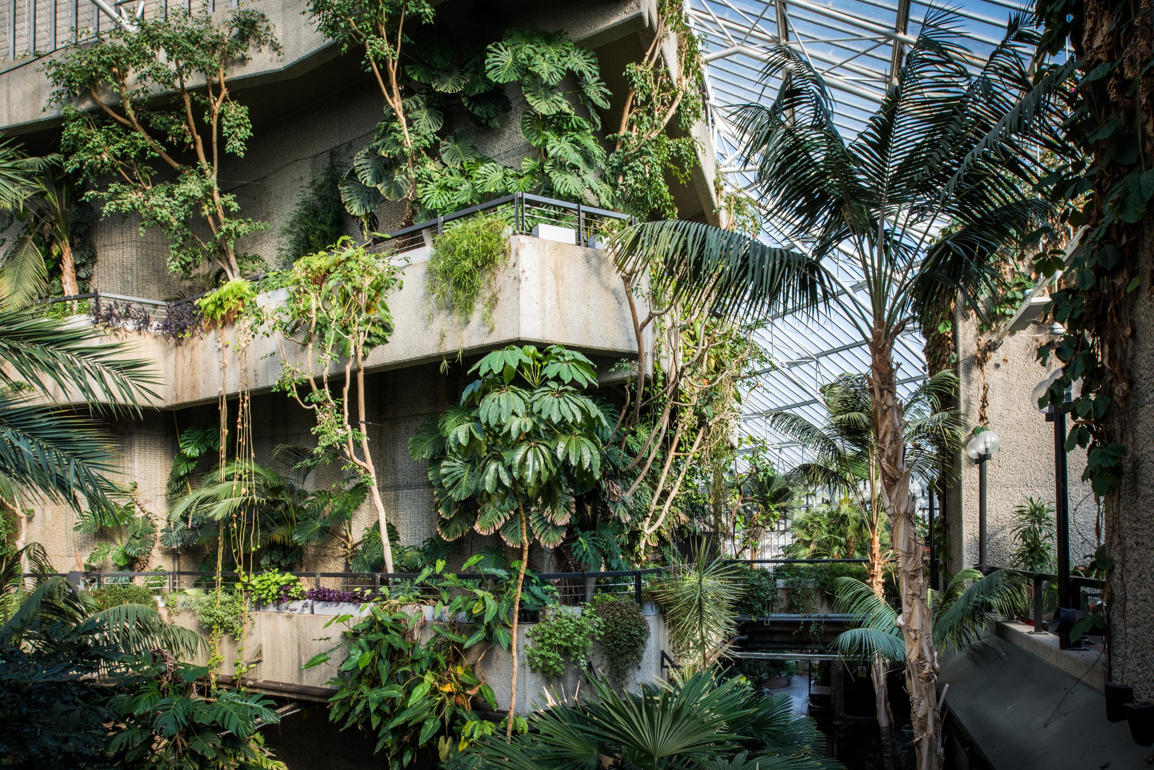 Conservatory, Barbican photo #7