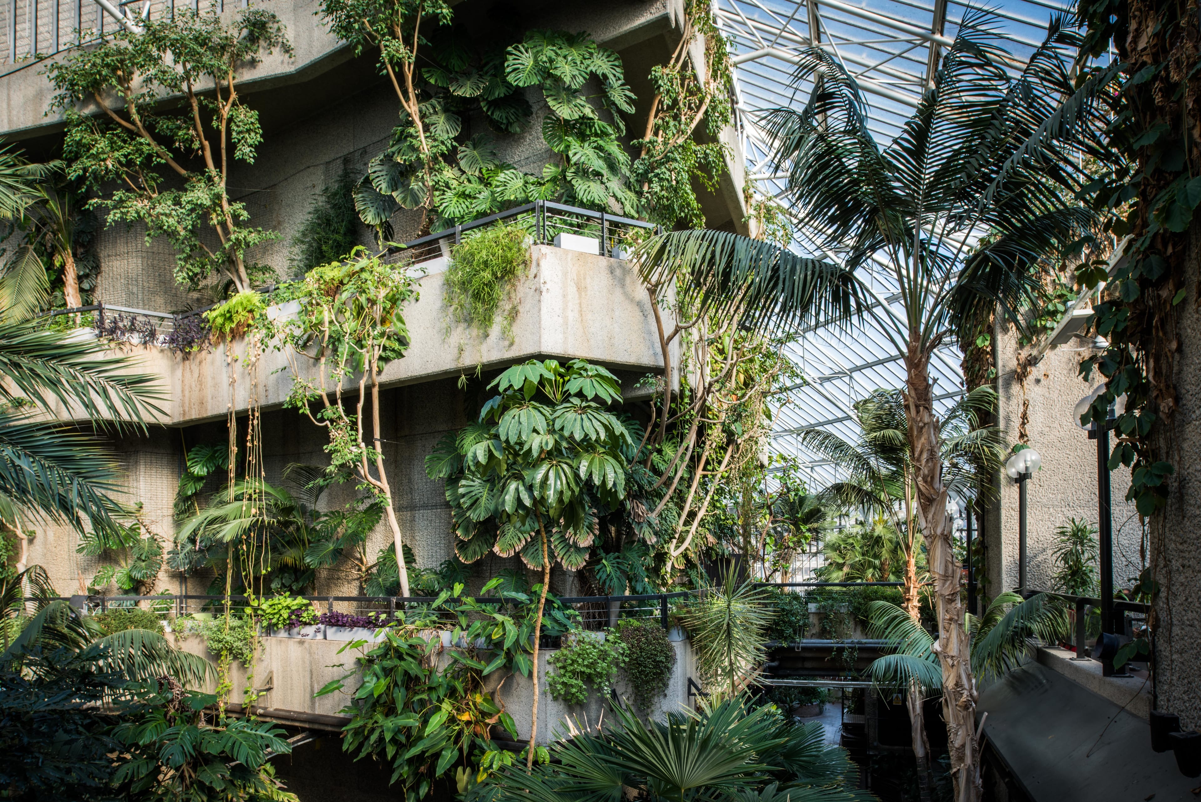 Photo of Barbican, Conservatory