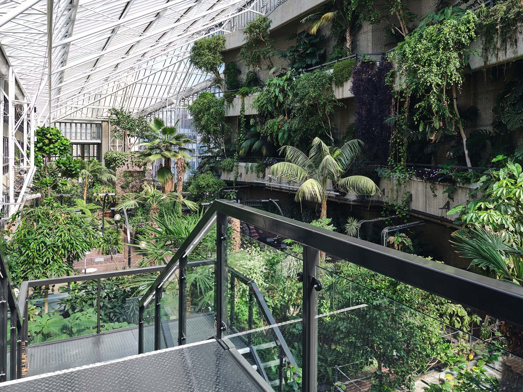 Conservatory, Barbican photo #5