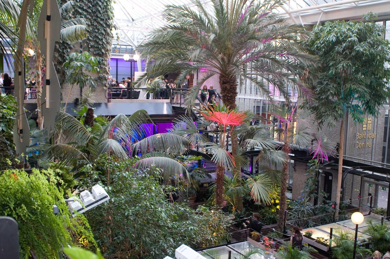 Conservatory, Barbican photo #14
