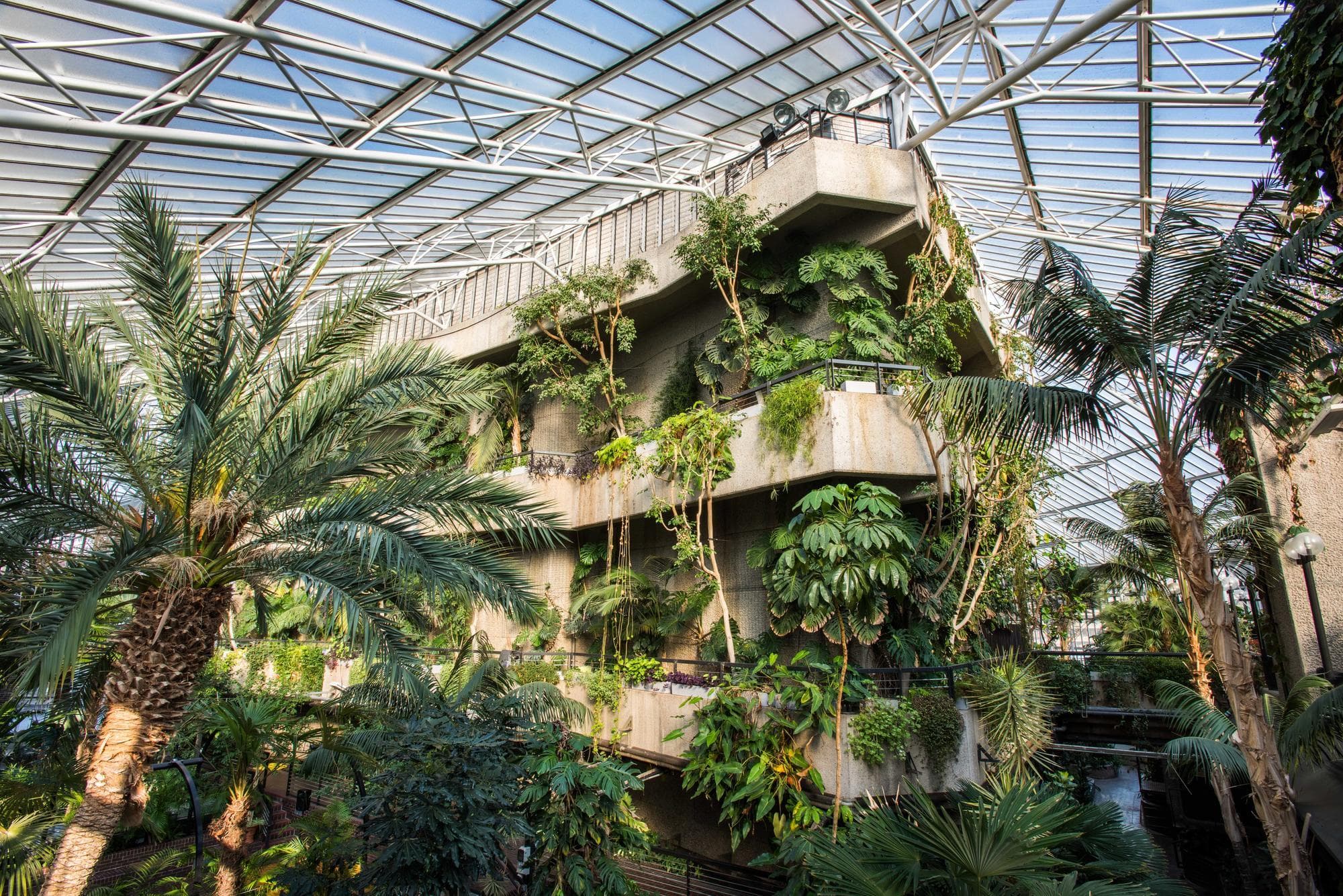Conservatory, Barbican photo #6