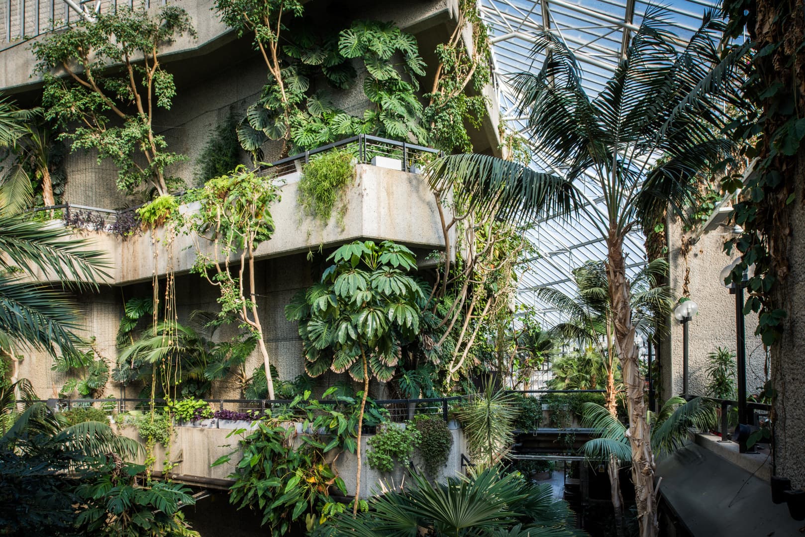 Conservatory, Barbican photo #7