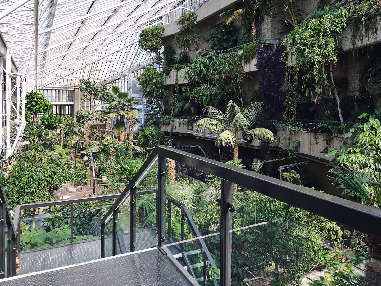Conservatory, Barbican photo #5