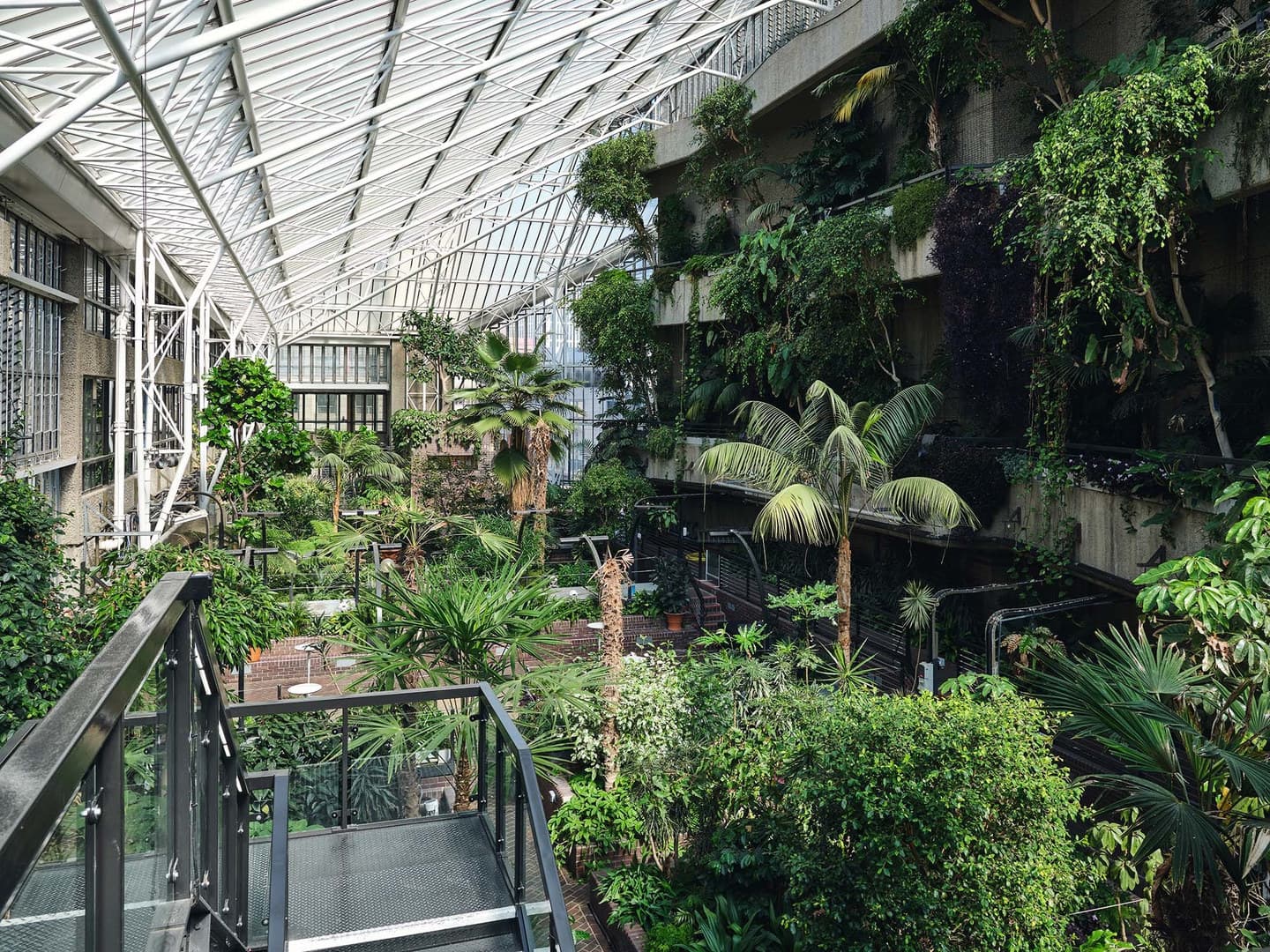 Conservatory, Barbican photo #1