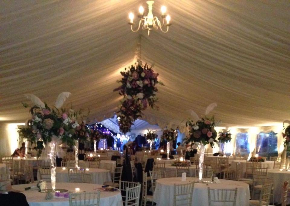 Photo of Top Farm Wedding Avenue Field