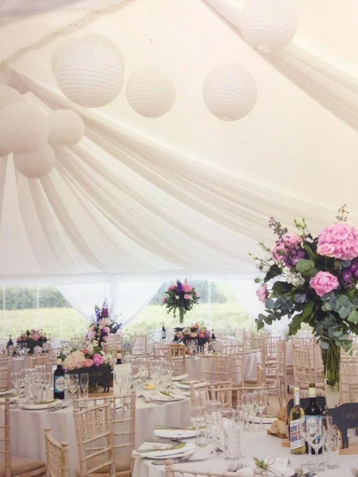 Photo of Top Farm Wedding Avenue Field