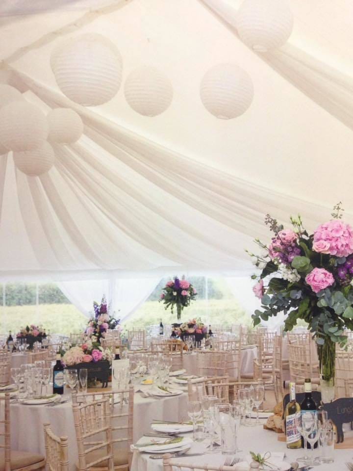 Photo of Top Farm Wedding Avenue Field
