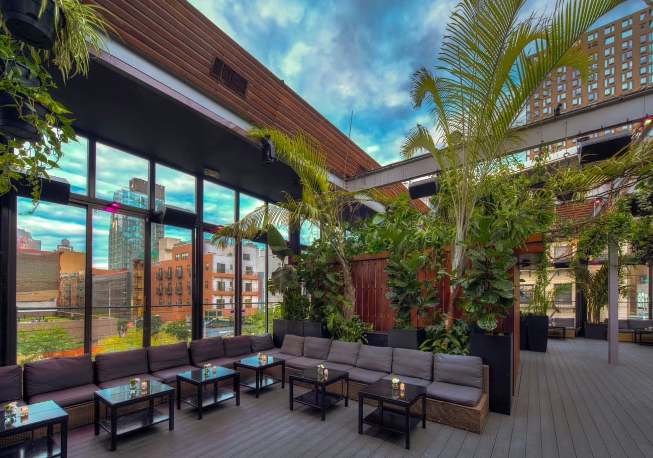 The Rooftop, The DL photo #3