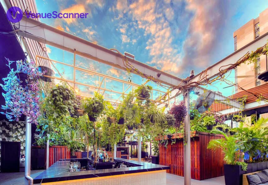 The Rooftop, The DL photo #2