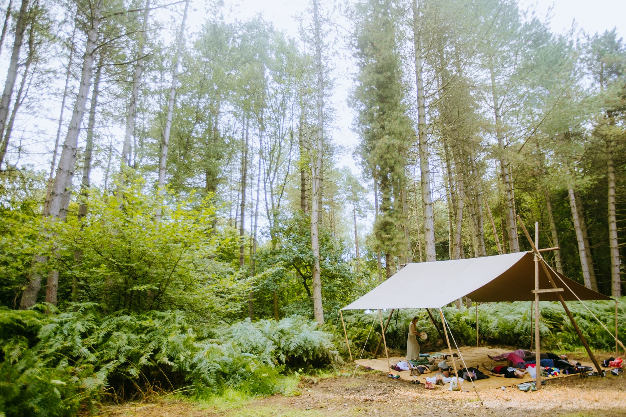 Lakeside And Woodlands, Blackpit Brewery photo #8