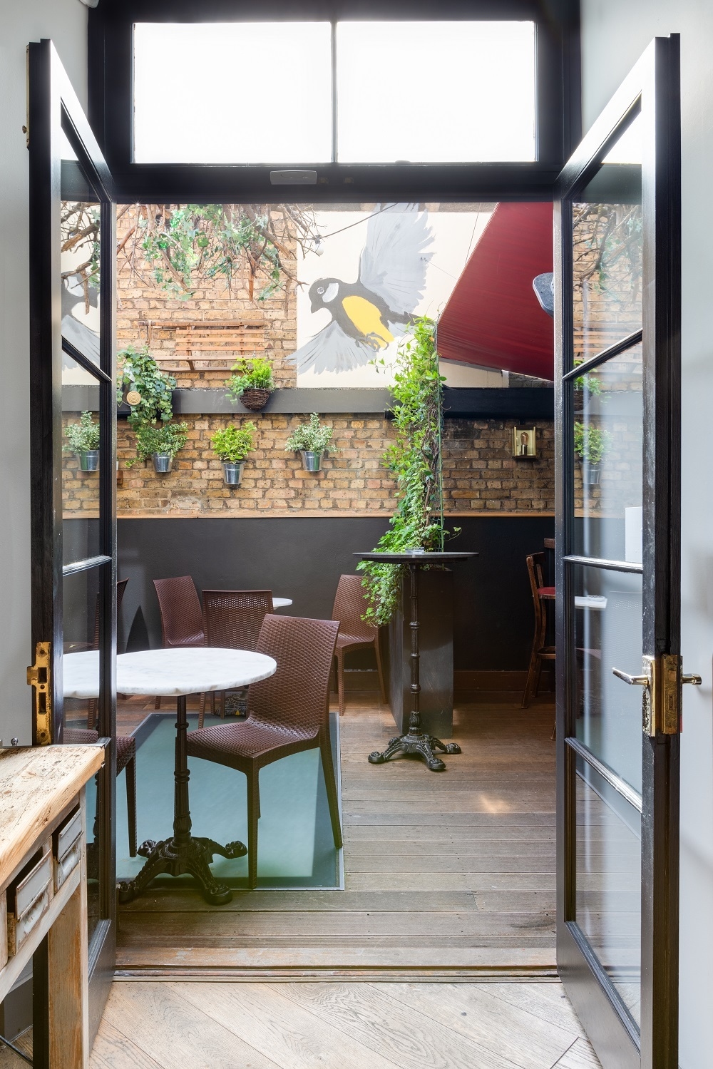 Photo of ZIMA Restaurant, ZIMA Terrace