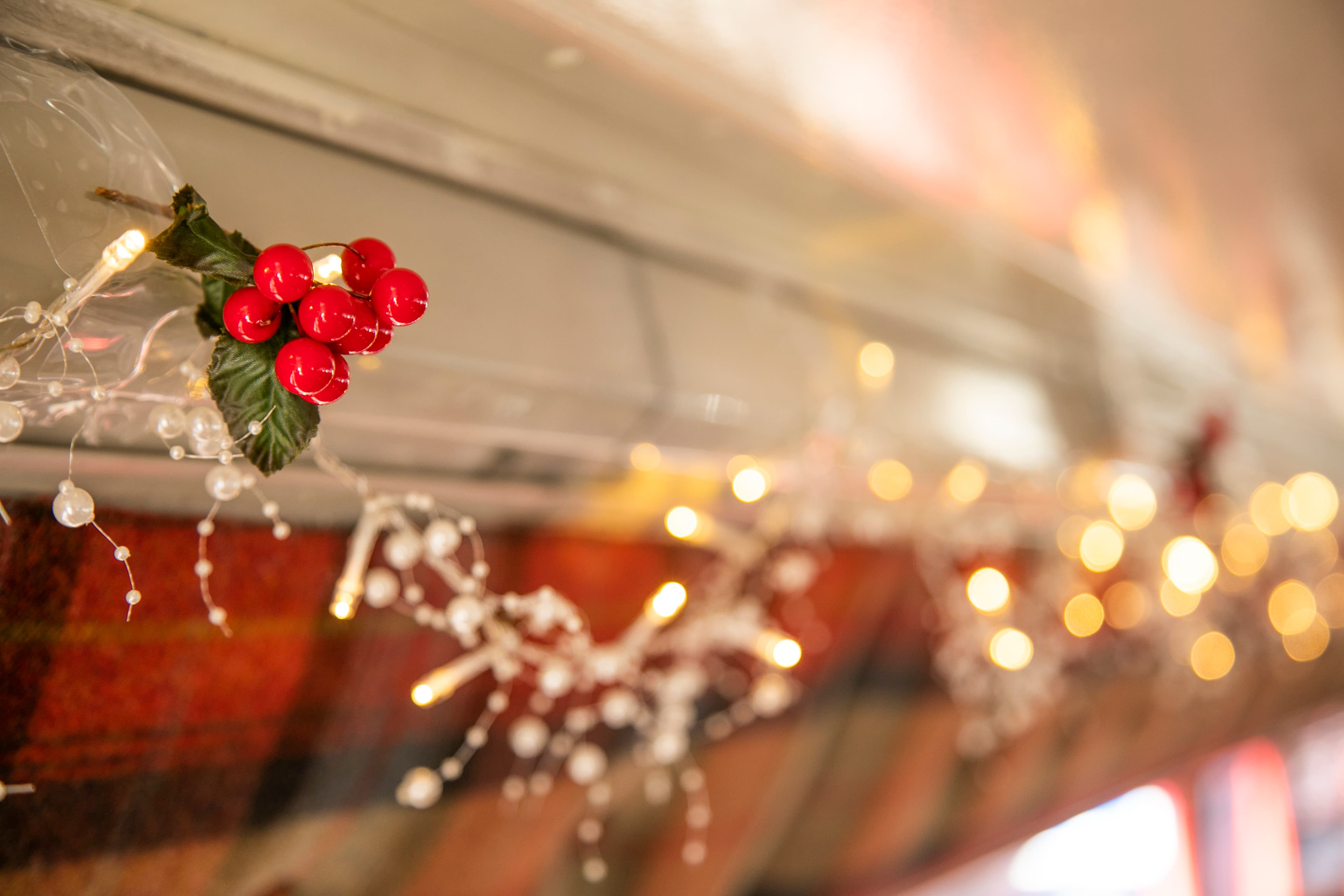 Christmas At The Red Bus Bistro, Christmas @Red Bus Bistro photo #2