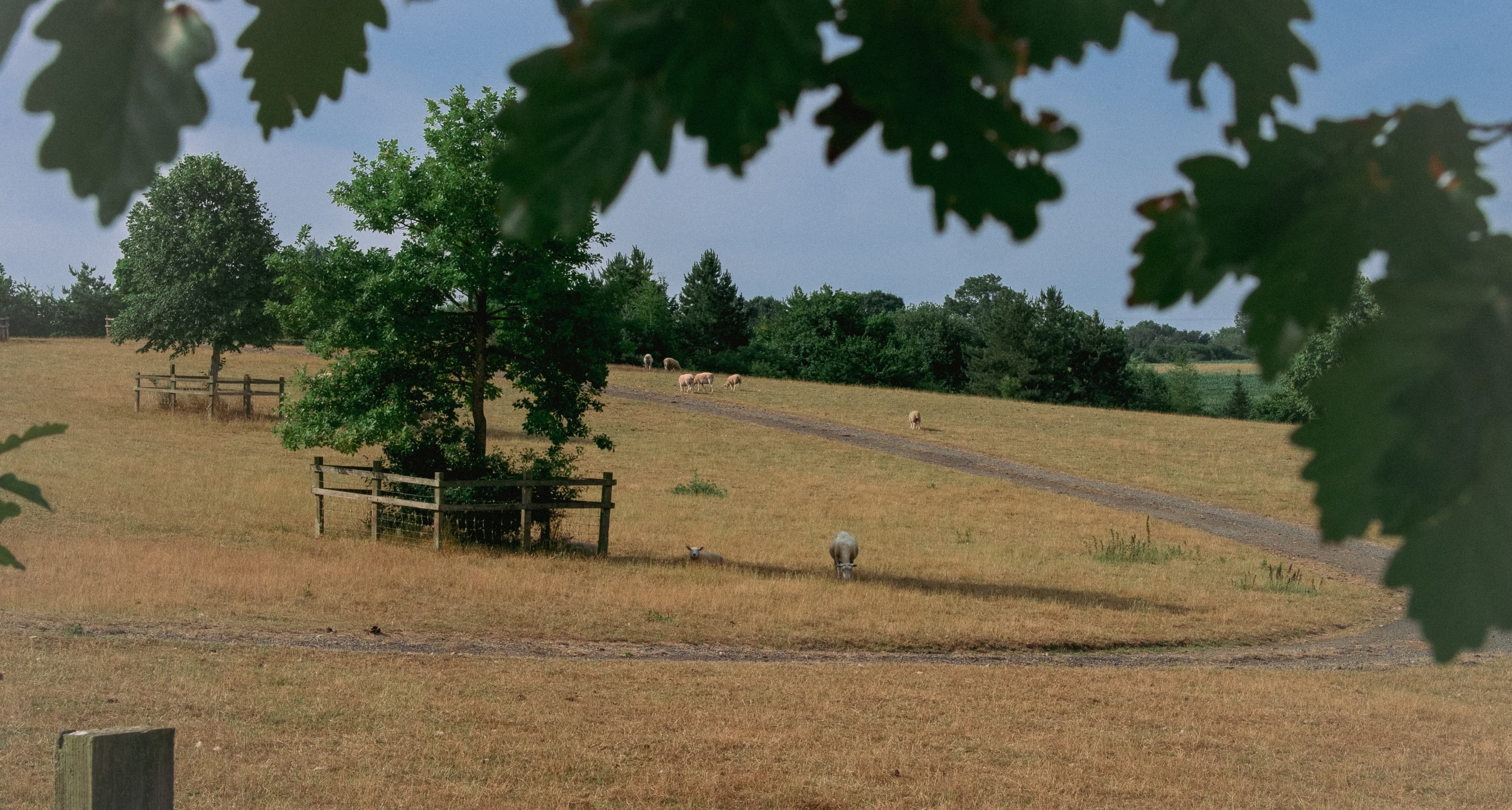 Grafton House Event Space & Walled Garden, The Shire Retreat photo #37
