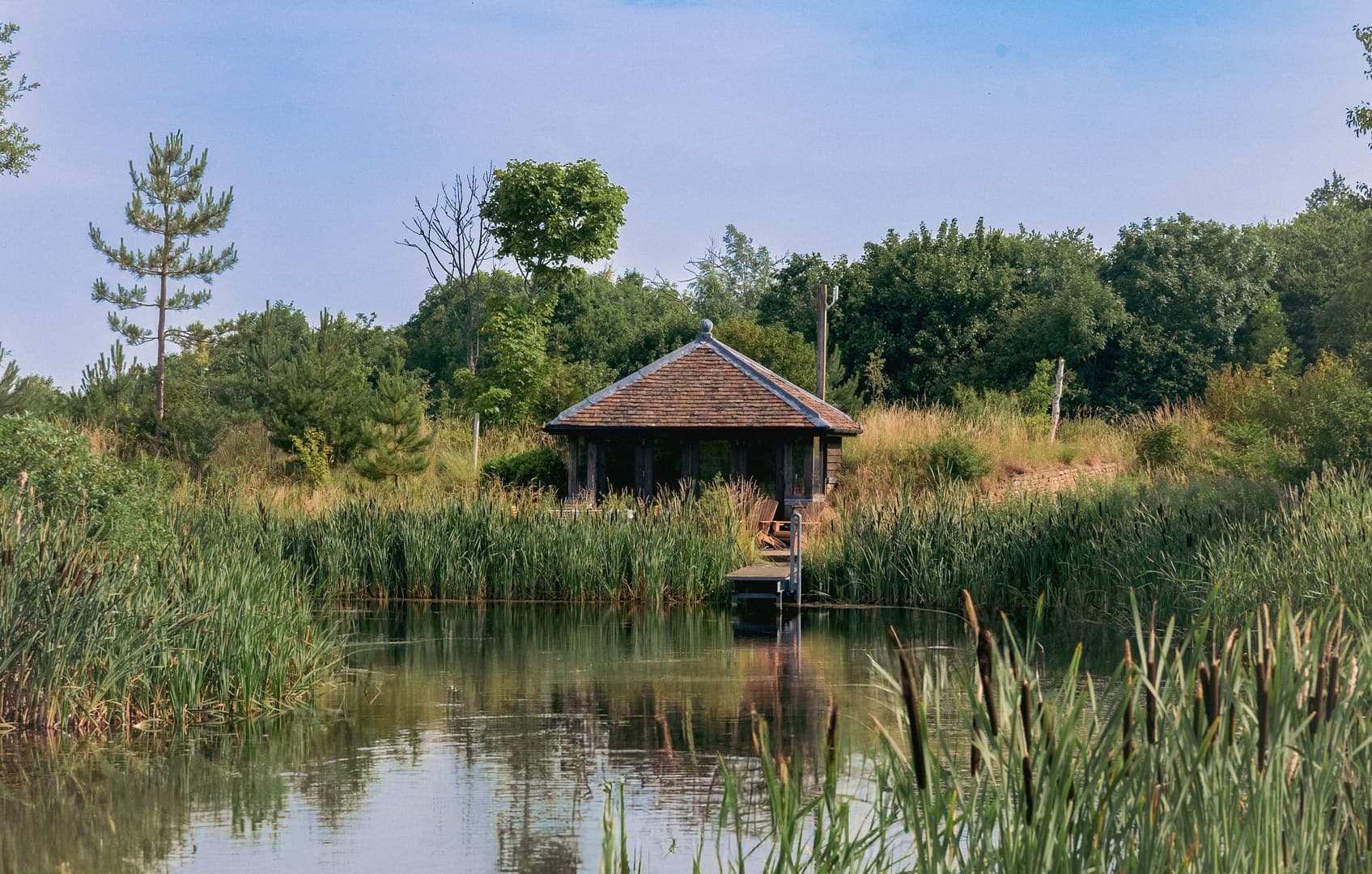 Exclusive Hire, The Shire Retreat photo #48