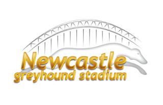 Newcastle Greyhound Stadium, Bar Area photo #4