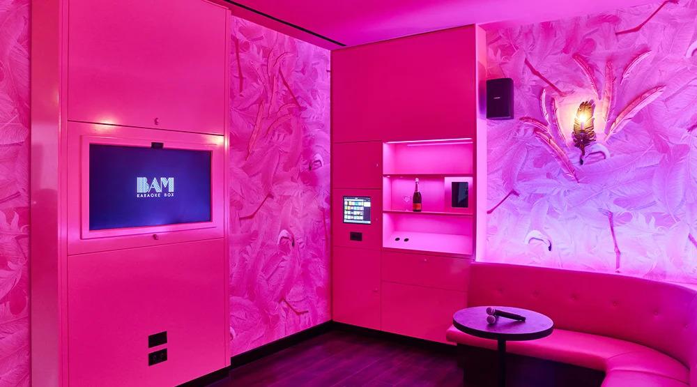 The Flamingo Room, BAM Karaoke Box photo #1