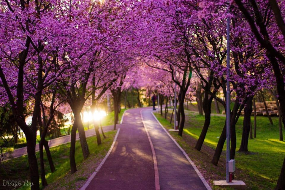 Photo of Tilly's Toffees, Sweet Spaces