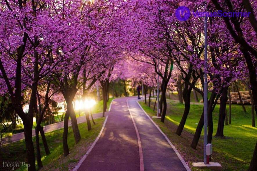 Tilly's Toffees photo #3