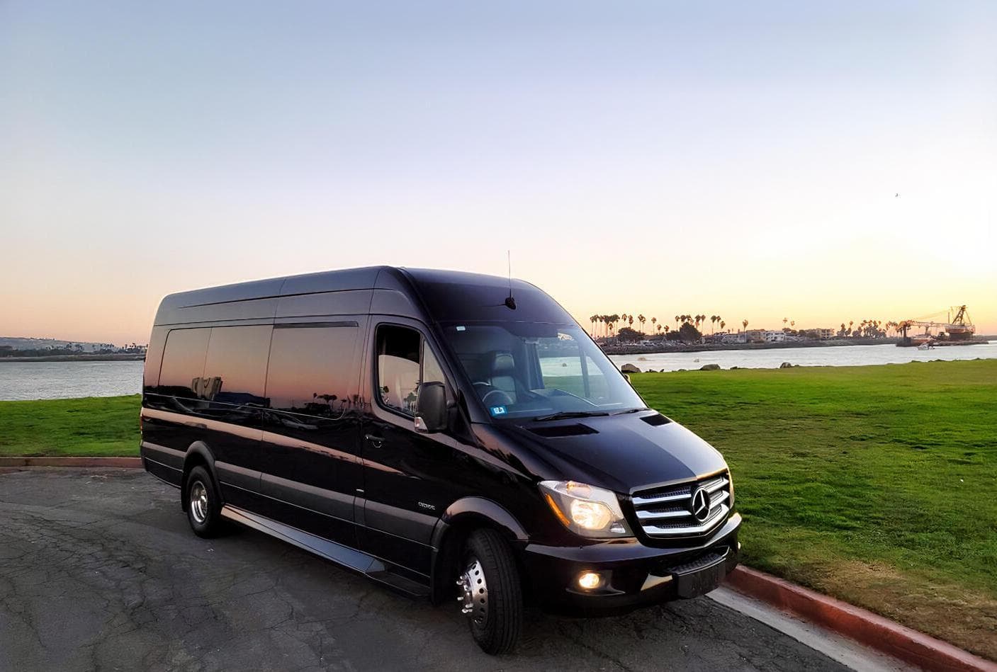 SD Vip Transportation, Black Mercedes Party Bus, undefined photo #1