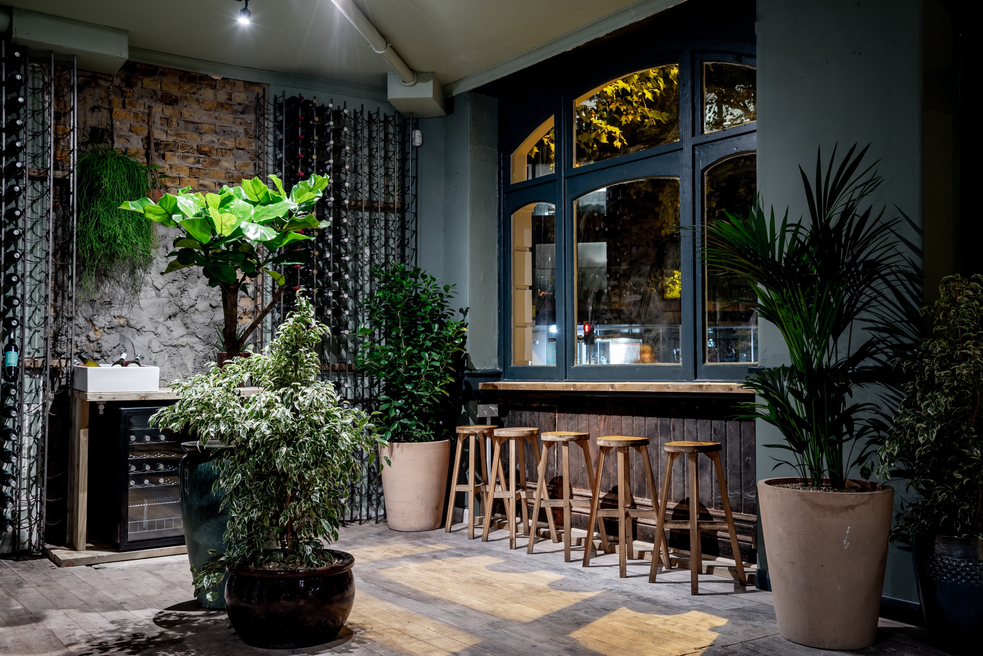 Diogenes The Dog, Full Venue photo #2