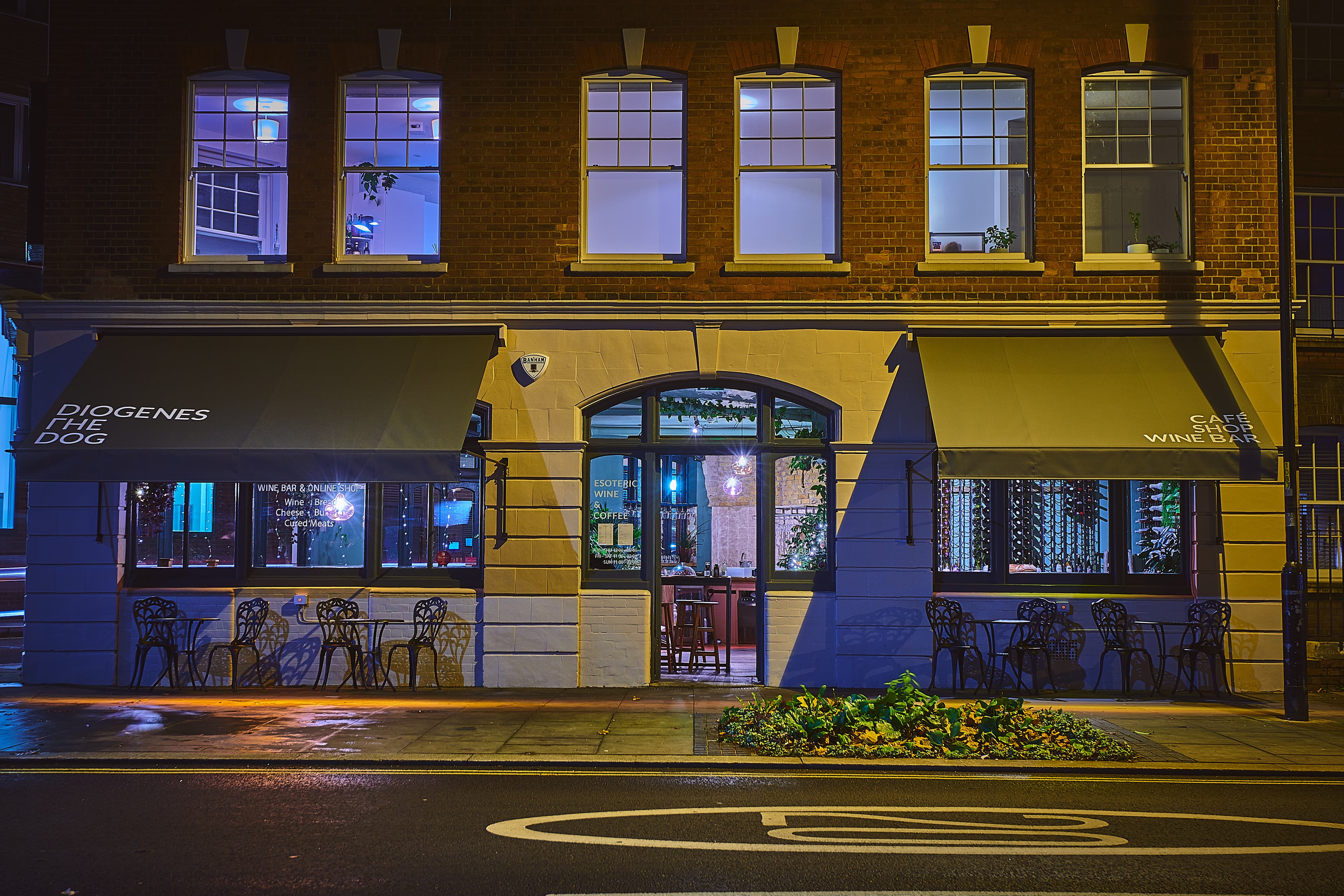 Diogenes The Dog photo #2