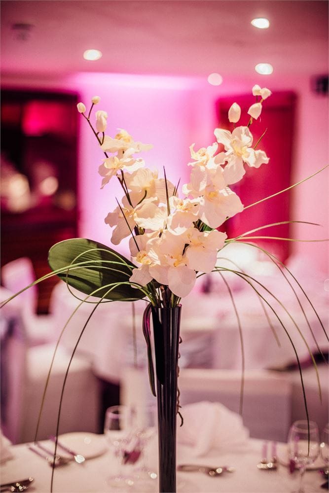 Photo of Palm Court Hotel, Exclusive Hire