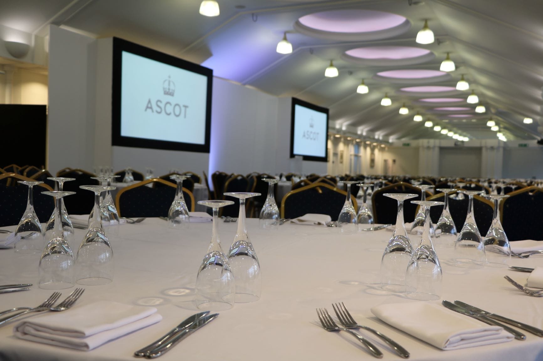 Photo of Ascot Racecourse, Pavilion Suite