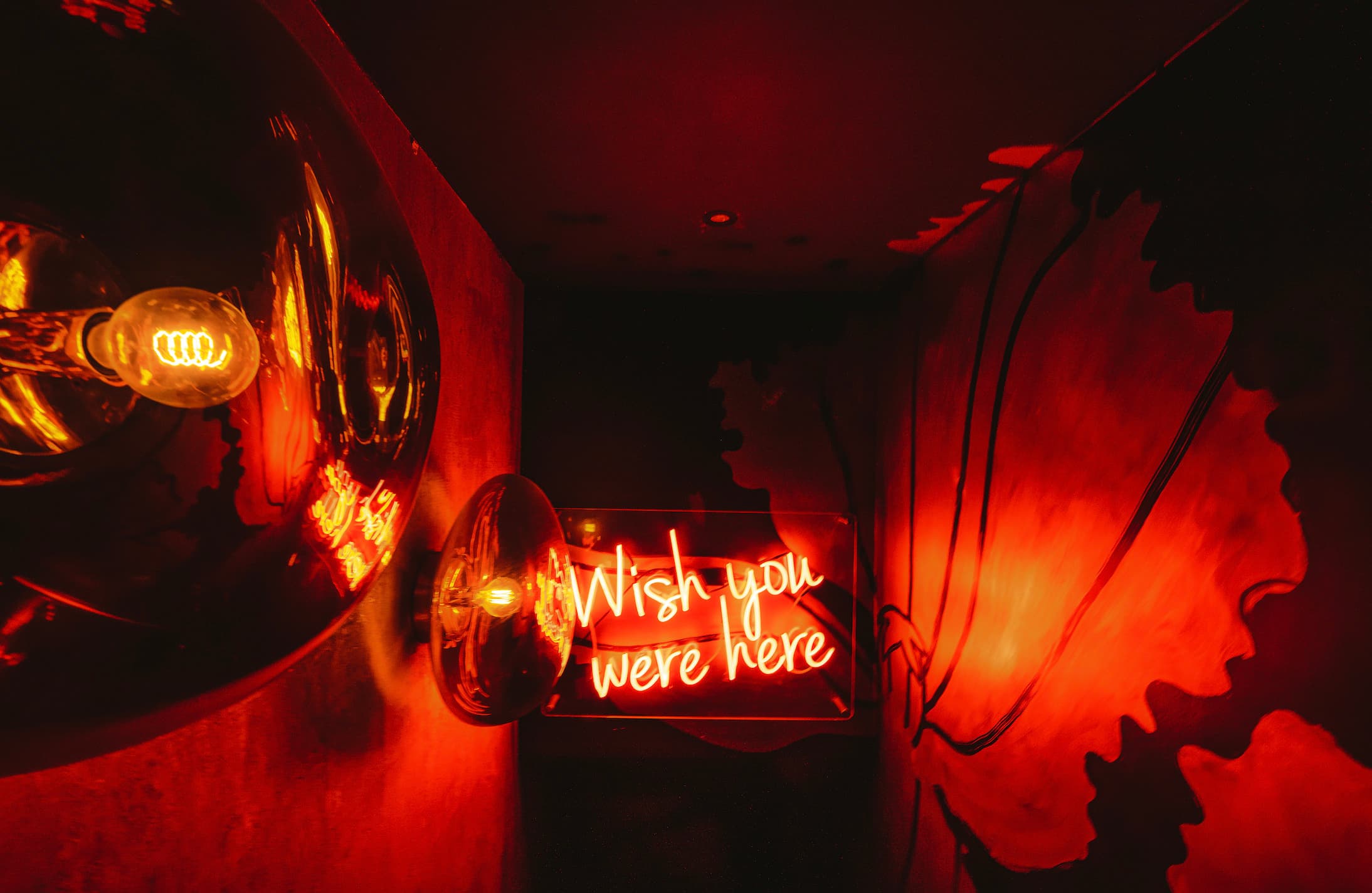 Kadies Club photo #2