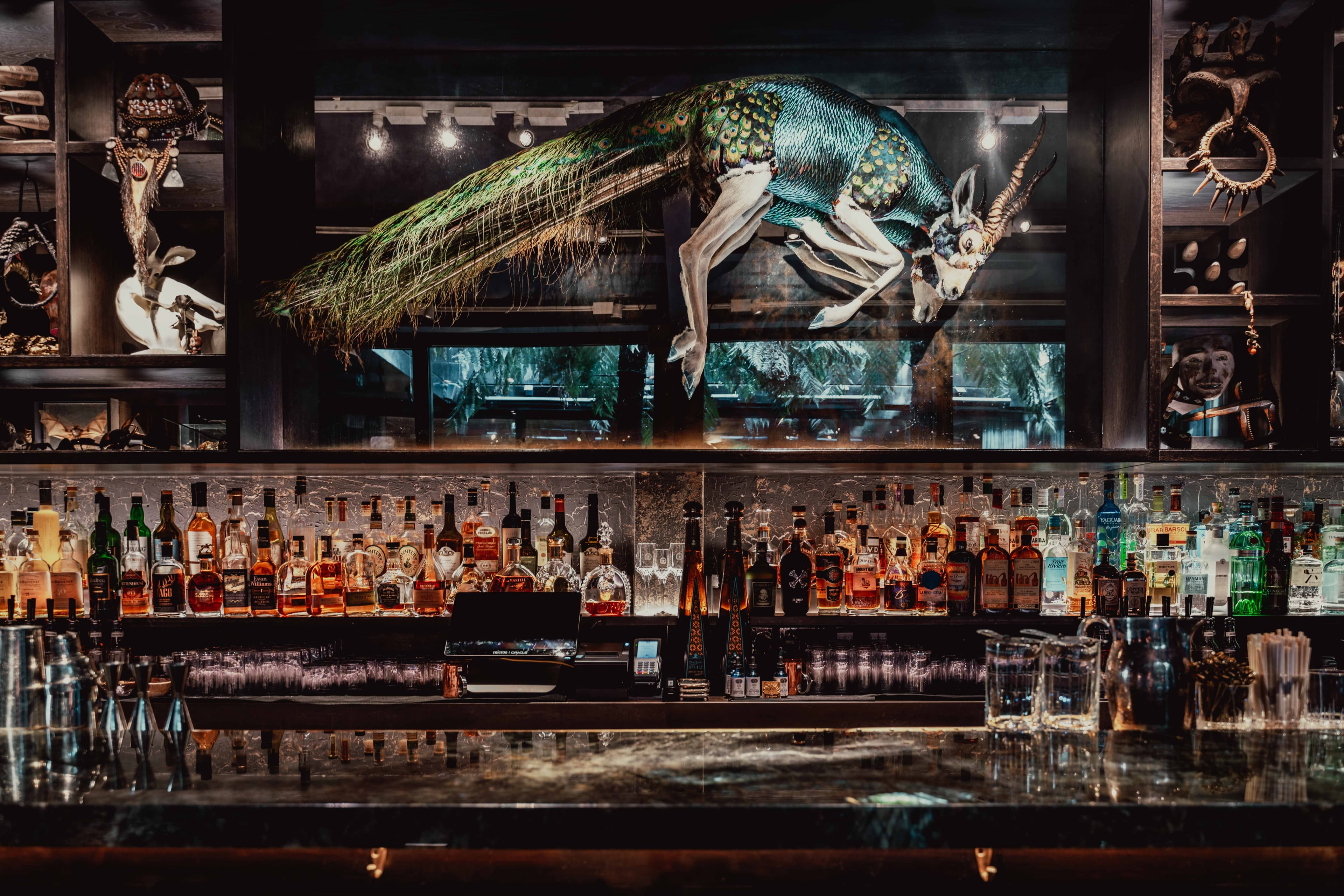 YOPO Private Dining Room, The Mandrake photo #30