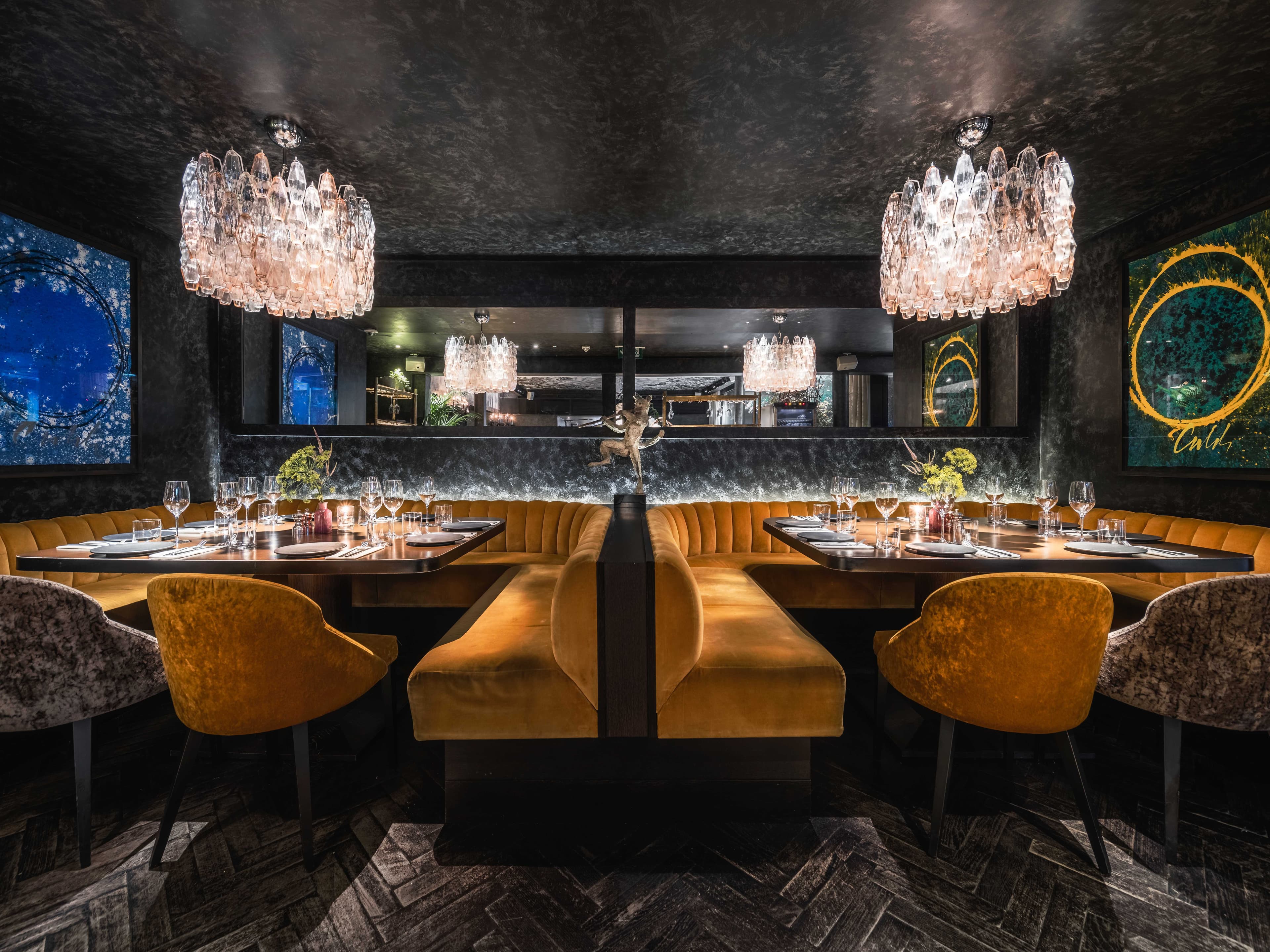 Photo of The Mandrake