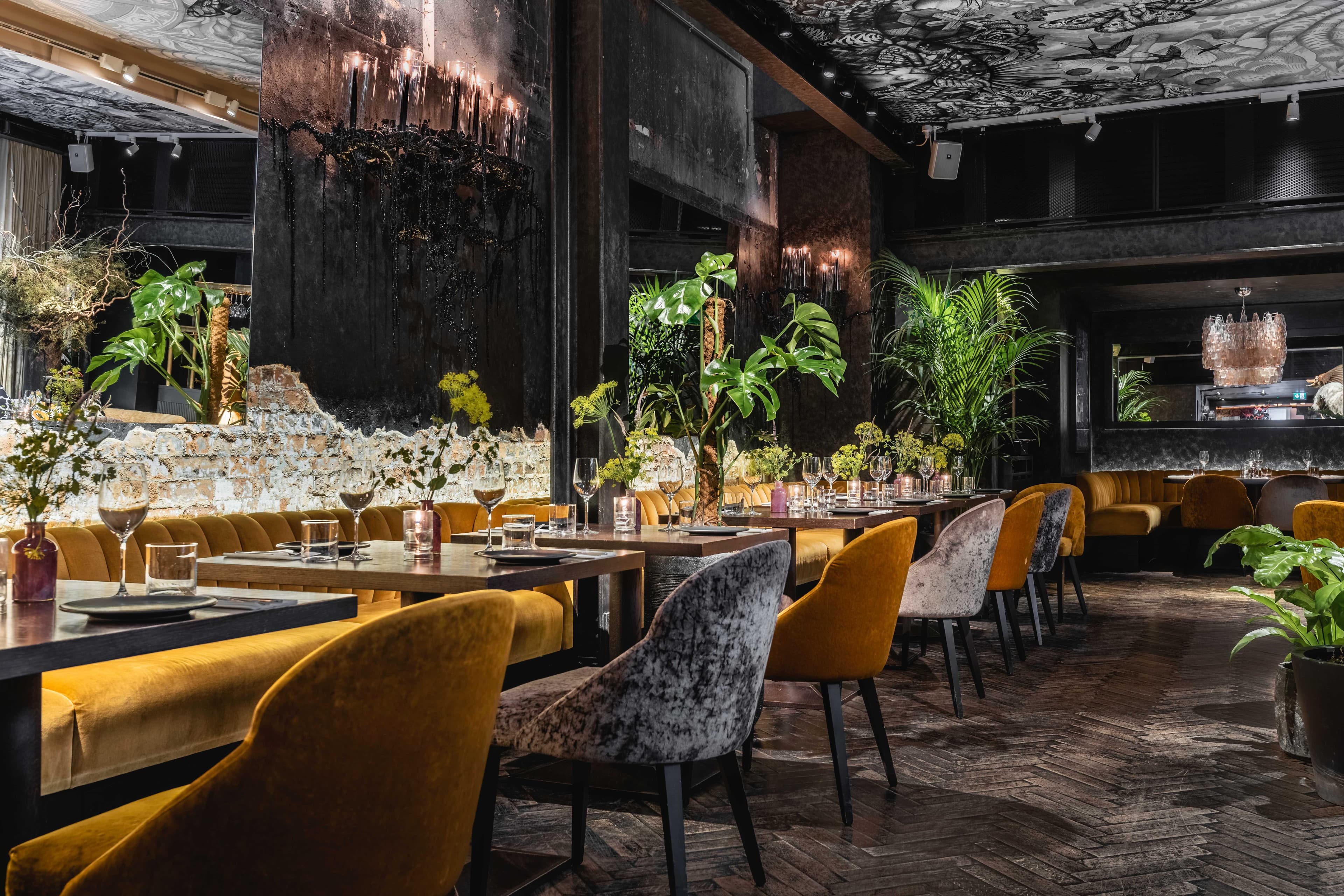 YOPO Private Dining Room, The Mandrake photo #16