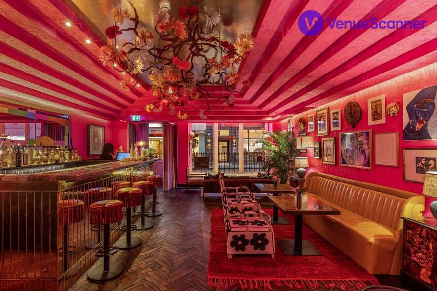 The Mandrake photo #3