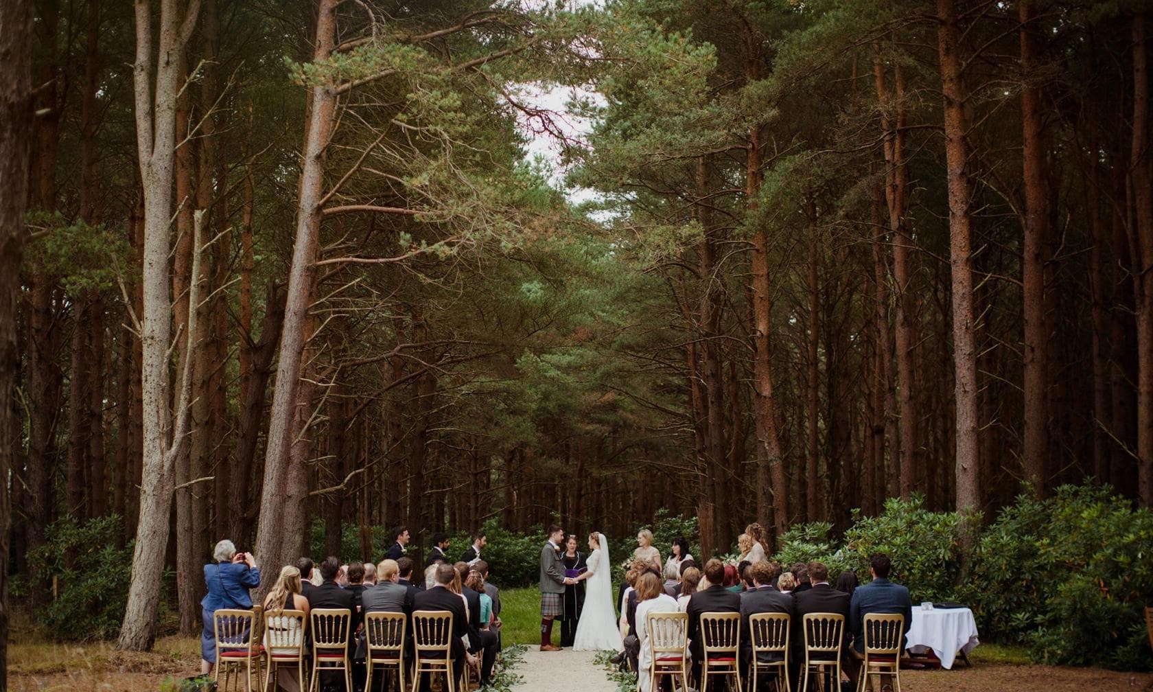 Woodland Venue, Harvest Moon photo #1