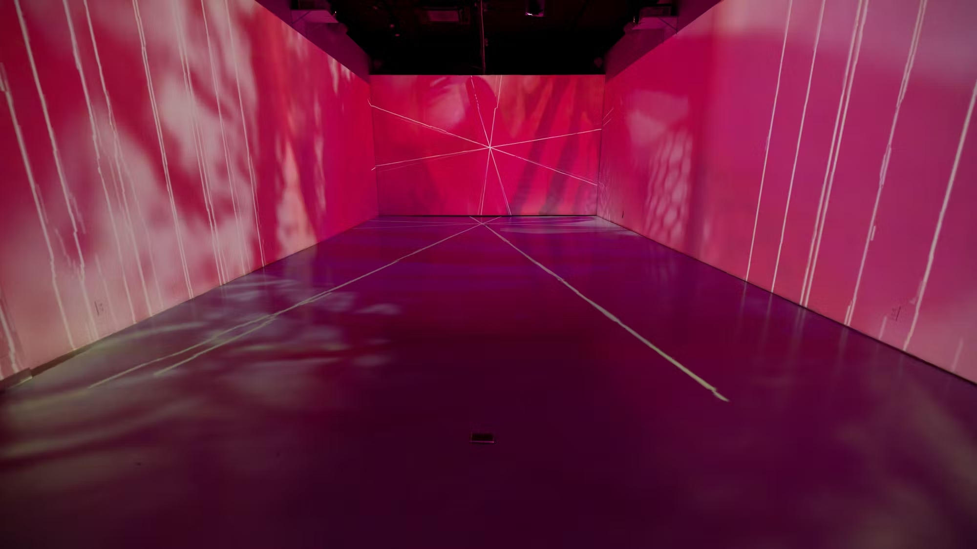 Photo of Lume Studios, Immersive Studio