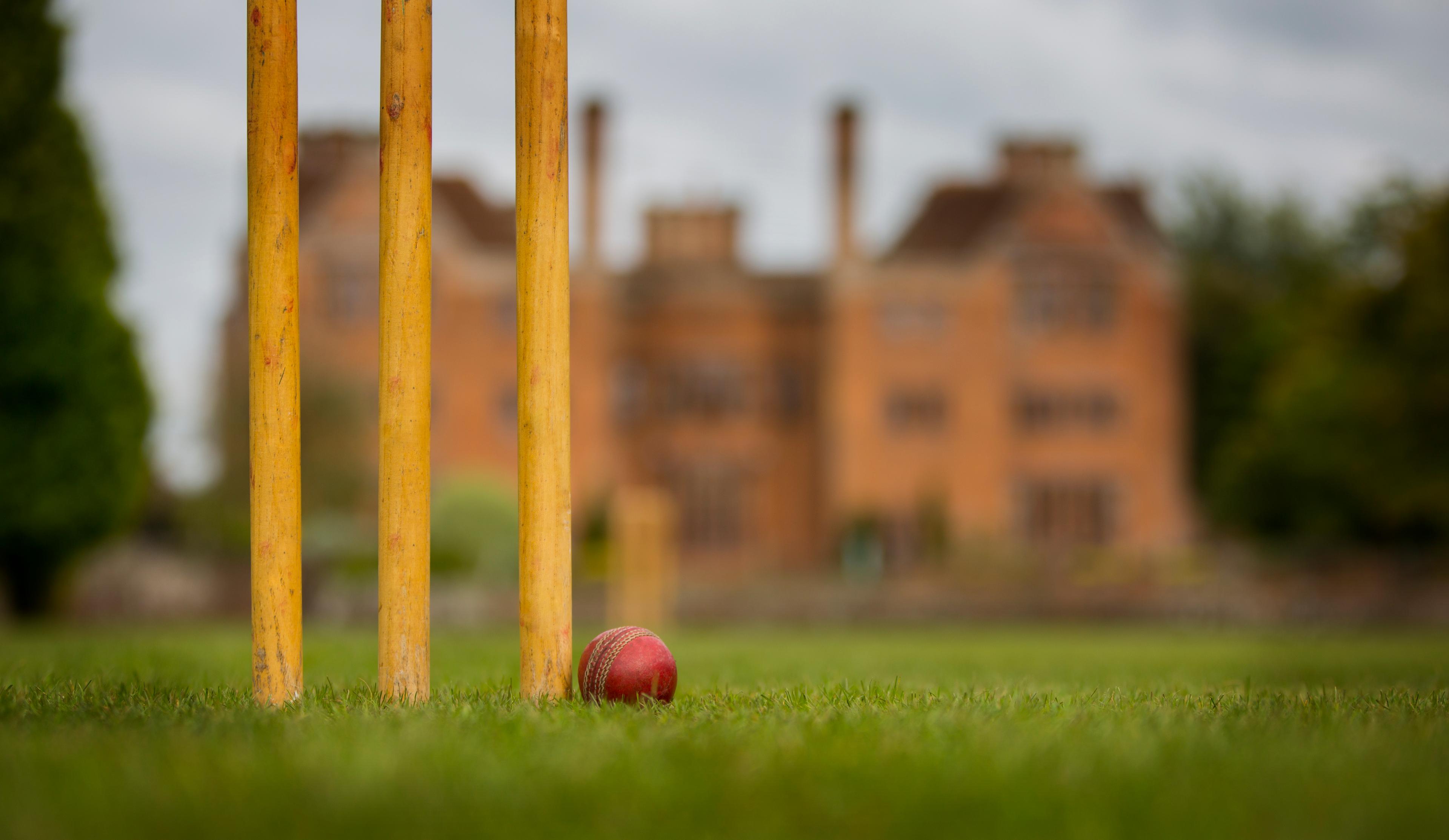 Cricket Pitch, New Place Hotel - Hampshire photo #2
